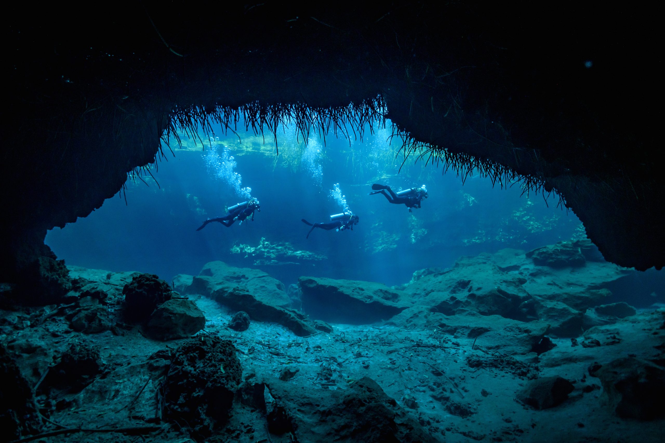 Diving