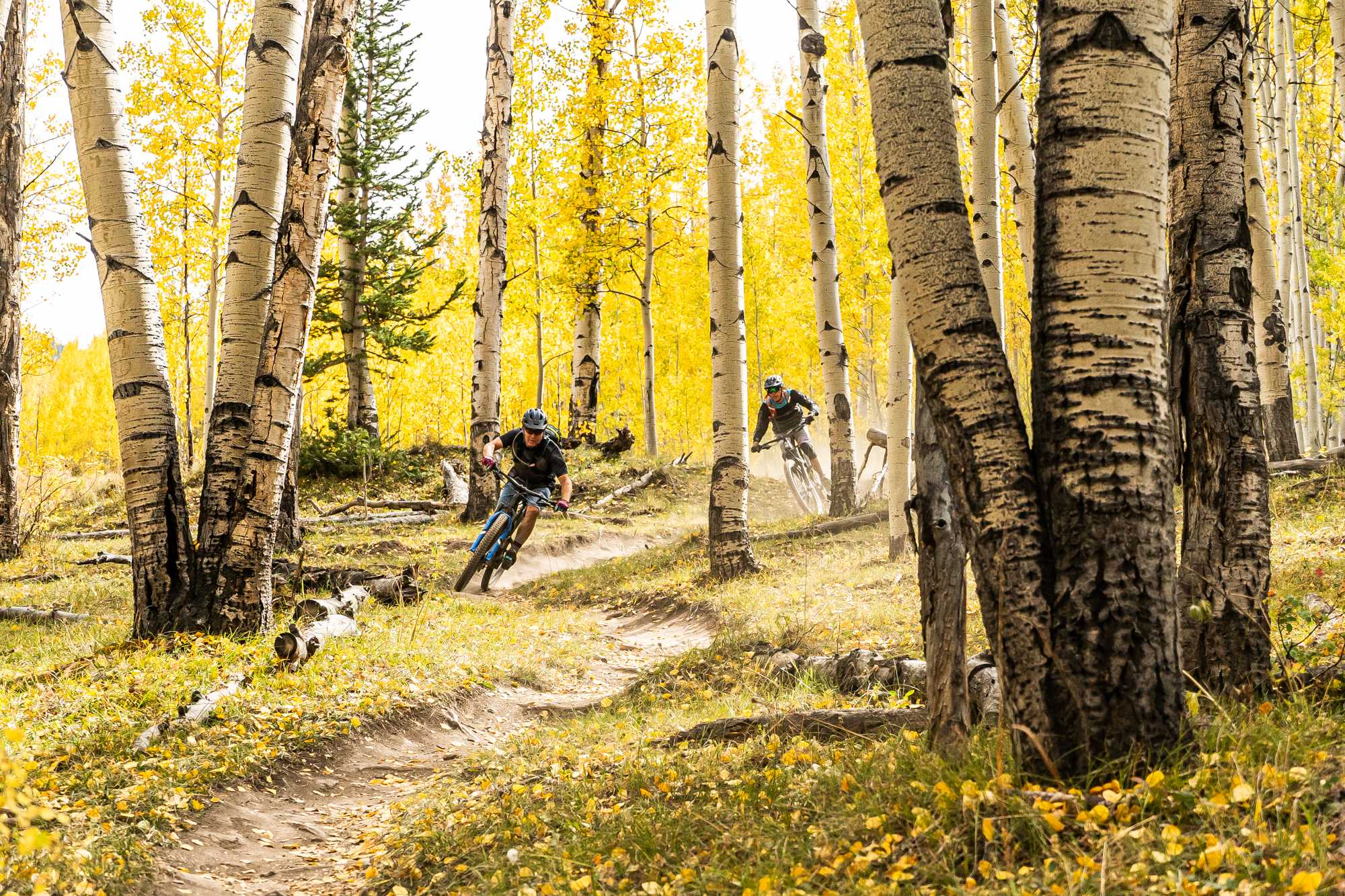 Mountain Biking